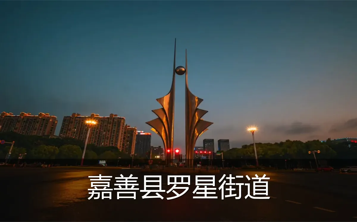 嘉善县罗星街道