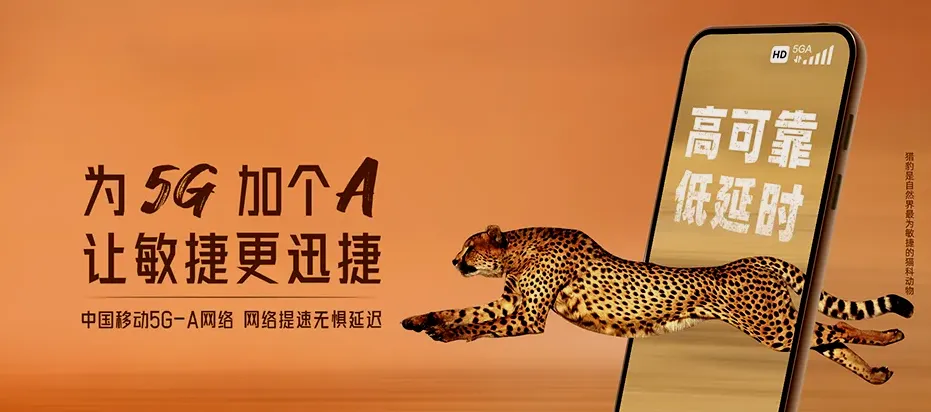 嘉善县嘉善县西塘镇 移动宽带